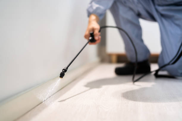 Licensed Termite Control service in Jefferson County County, IL - Nex Pest Control