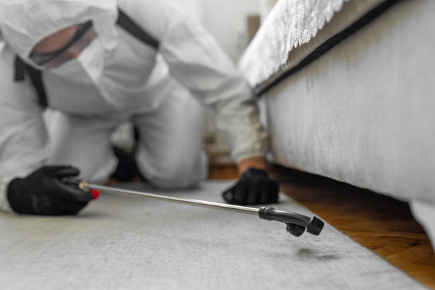 Professional Termite Control technician working in Jefferson County County, IL